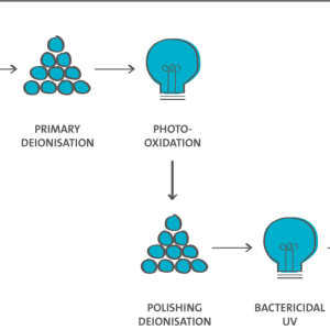 Purite Neptune Ultimate
