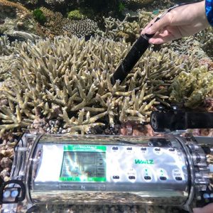 DIVING-PAM-II Underwater Fluorometer with Miniature Spectrometer