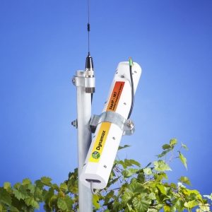 Leaf Canopy And Image Analysis –