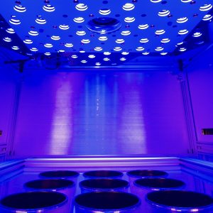 HEXAGON-IMAGING-PAM  Chlorophyll Fluorescence System