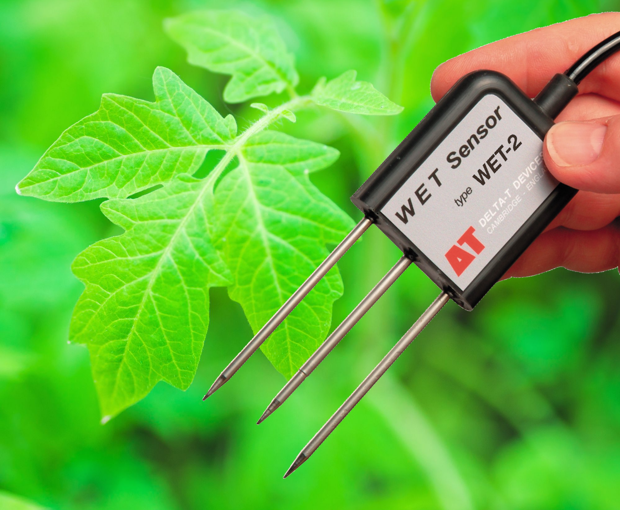 WET-2 Sensor - Image 6