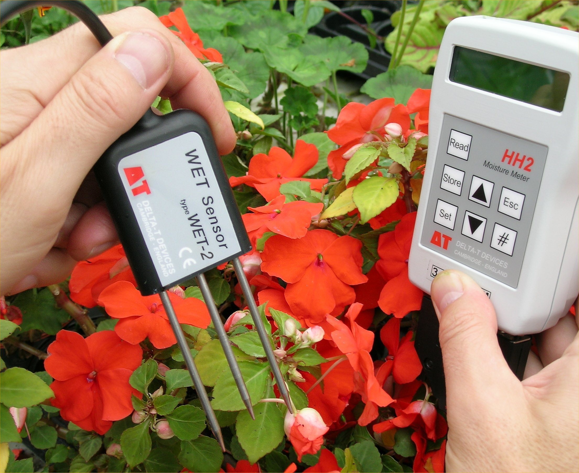 WET-2 Sensor - Image 11