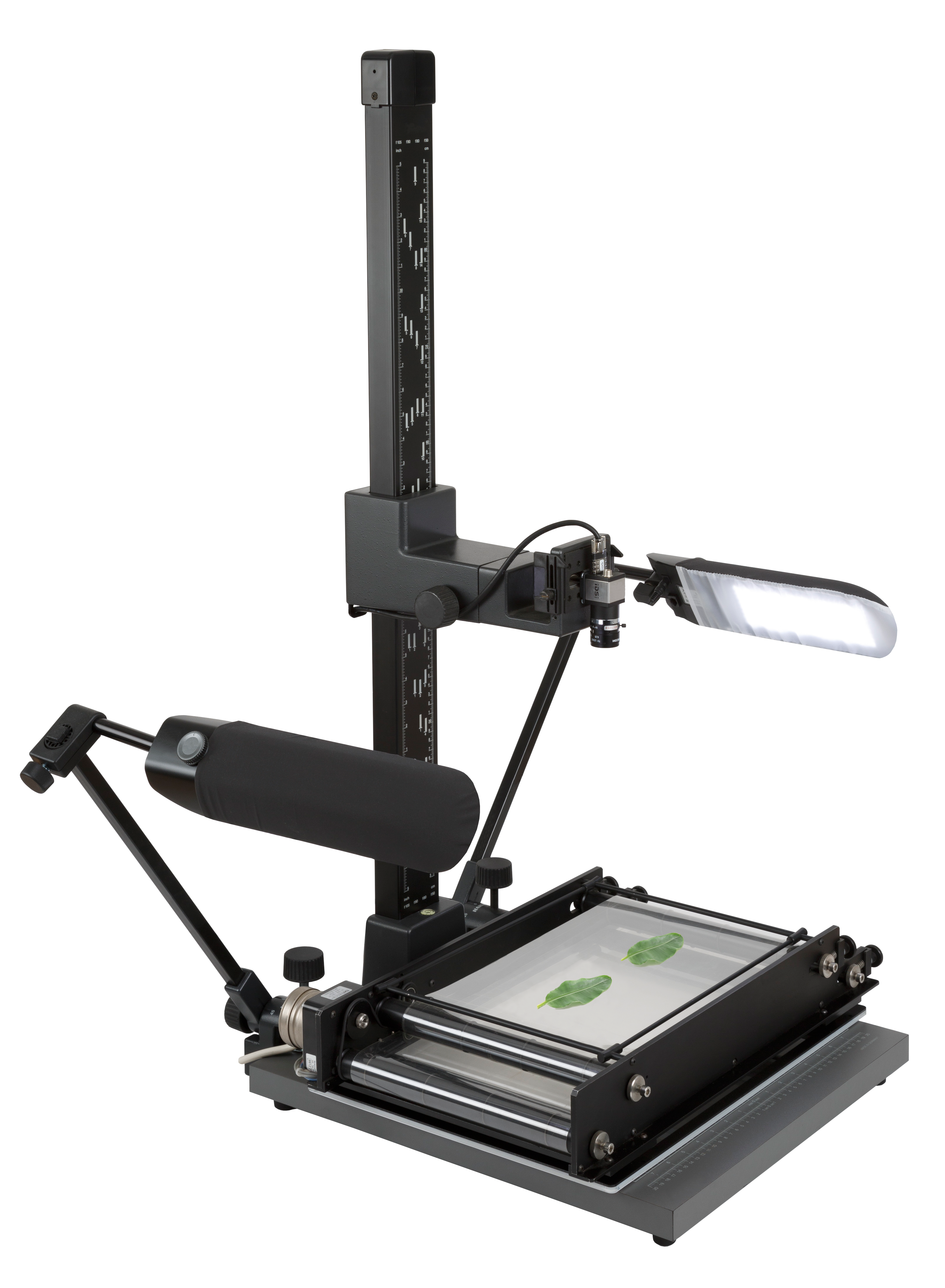 WinDIAS Leaf Image Analysis System - Image 6