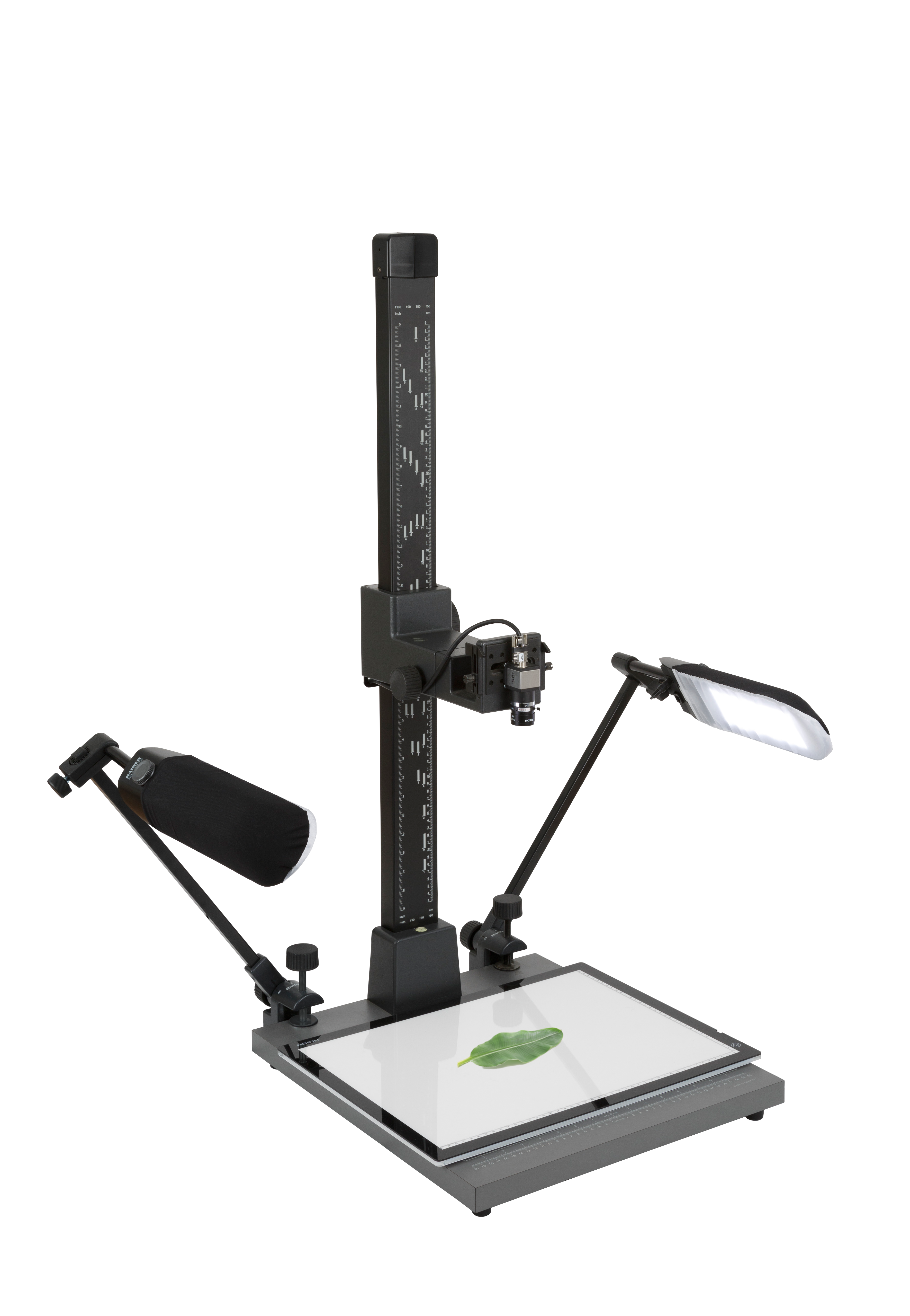 WinDIAS Leaf Image Analysis System - Image 3