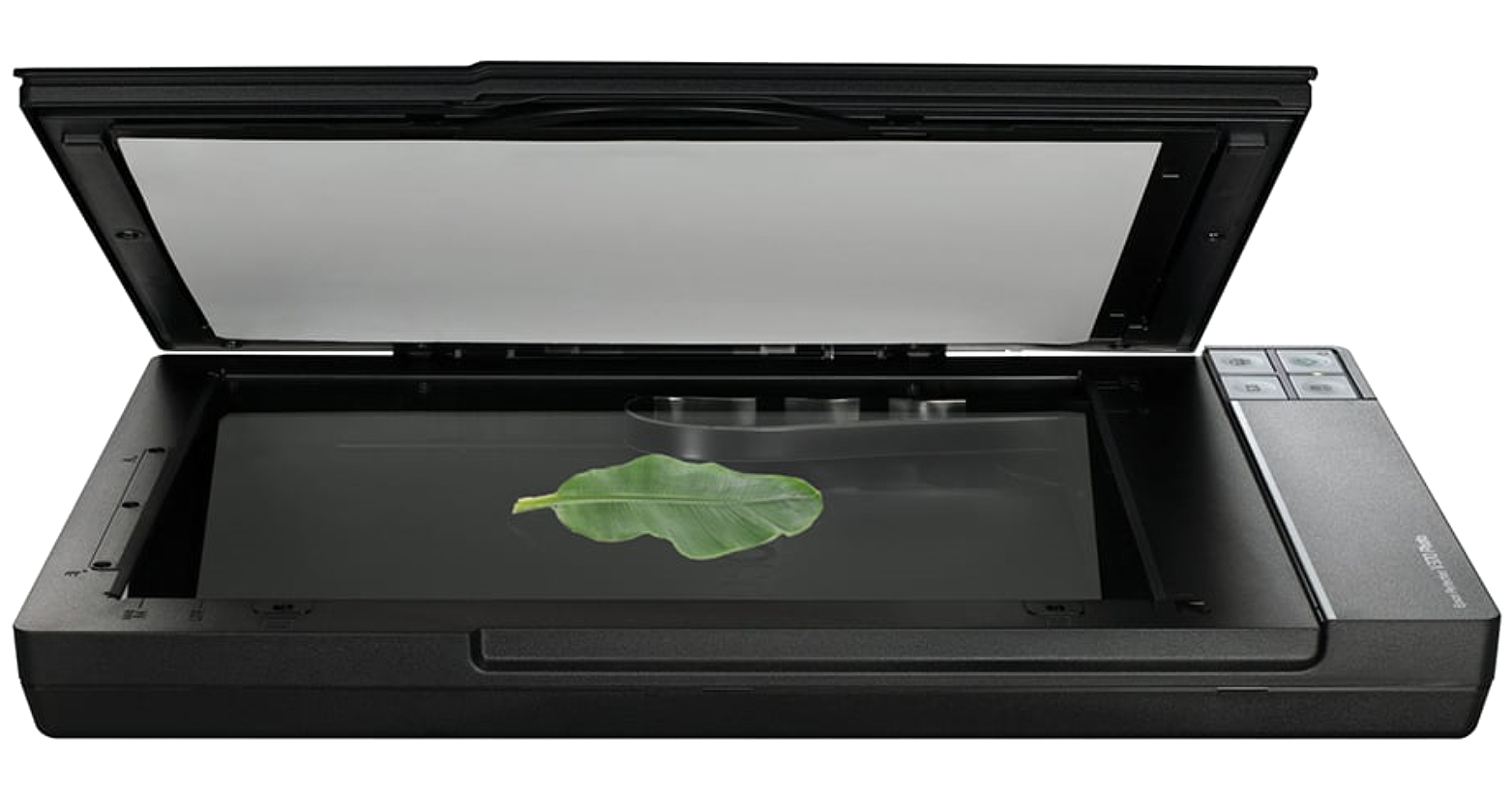 WinDIAS Leaf Image Analysis System - Image 5