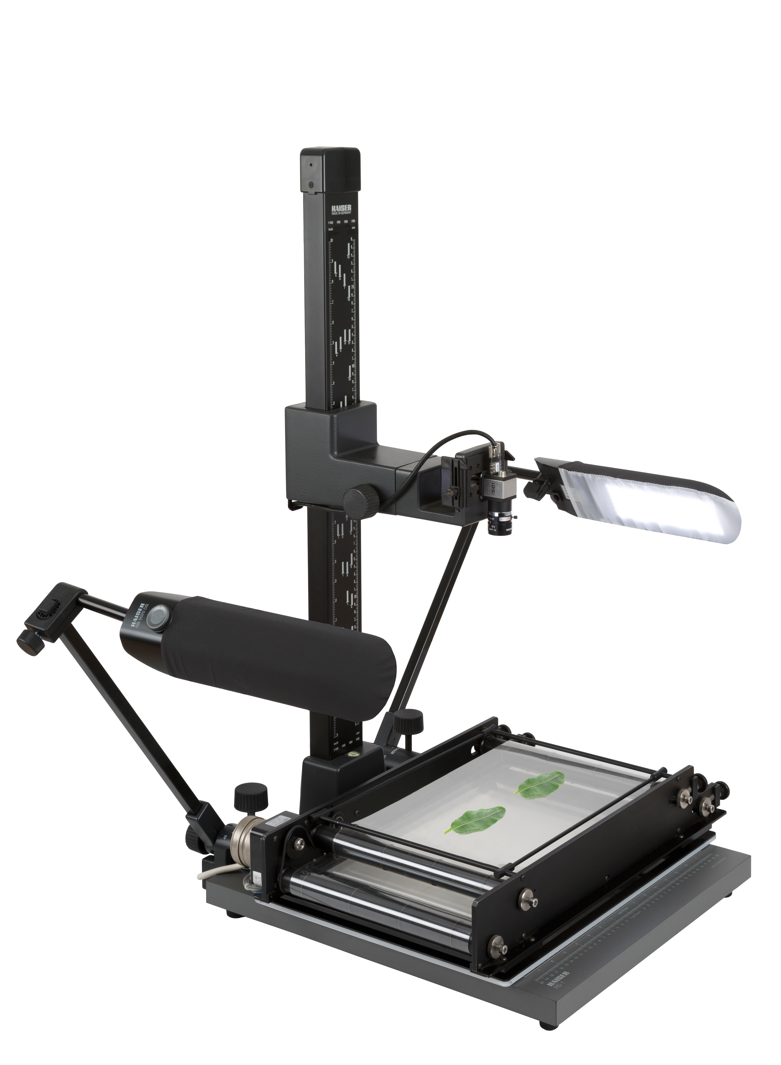 WinDIAS Leaf Image Analysis System - Image 15