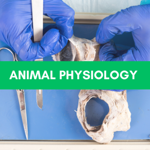 Animal Physiology