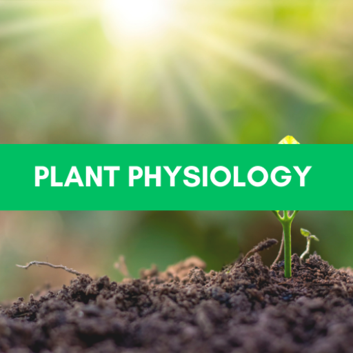 Plant Physiology
