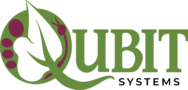 Qubit Systems