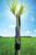 Transpiration Sap Flow – SGDC sap flow sensor